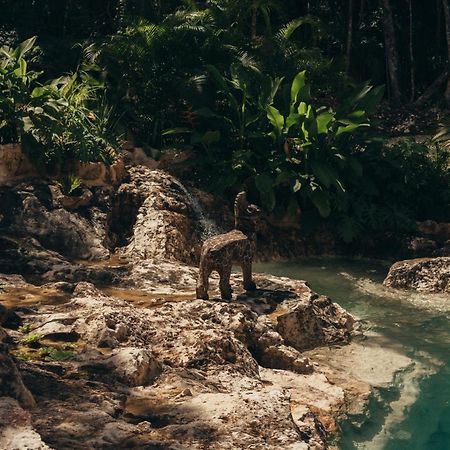 Amaite Retreat Tulum Hotel Macario Gomez Екстериор снимка
